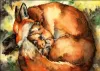 Original Painting - Mother Fox with Pups